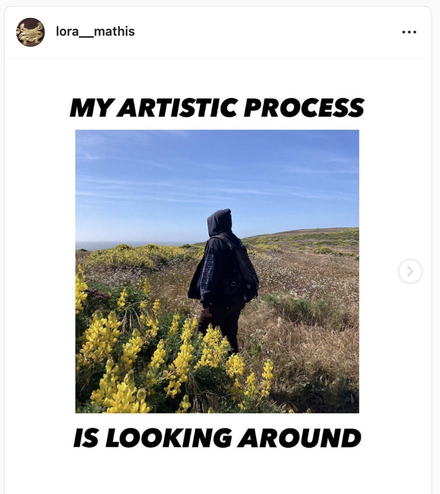 a hooded figure in a field, borded with this text top and bottom: My artist process is looking around. Posted by user lora___mathis
