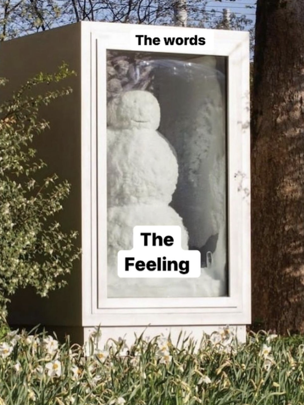 a snowman inside a box with a window. The box is labeled "the words", the snowman is labelled "the feeling"