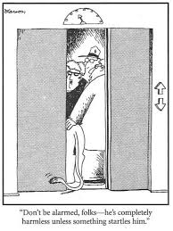 A full elevator, the doors are closing. You can see a lions tail hanging out the door. The caption reads "Don't be alarmed, folks - he's completely harmless unless something startles him"
