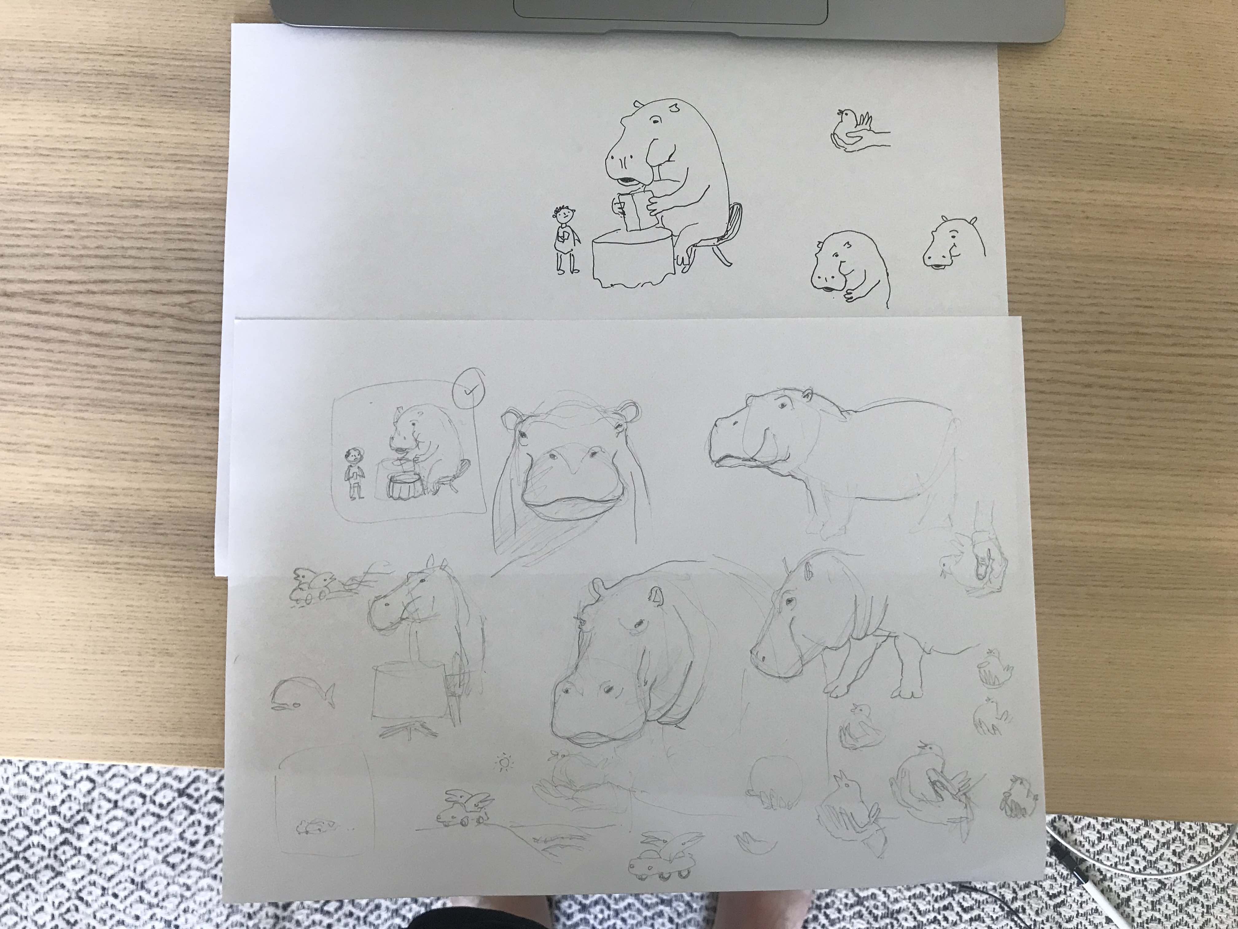 Drawings of hippos, and some other animals