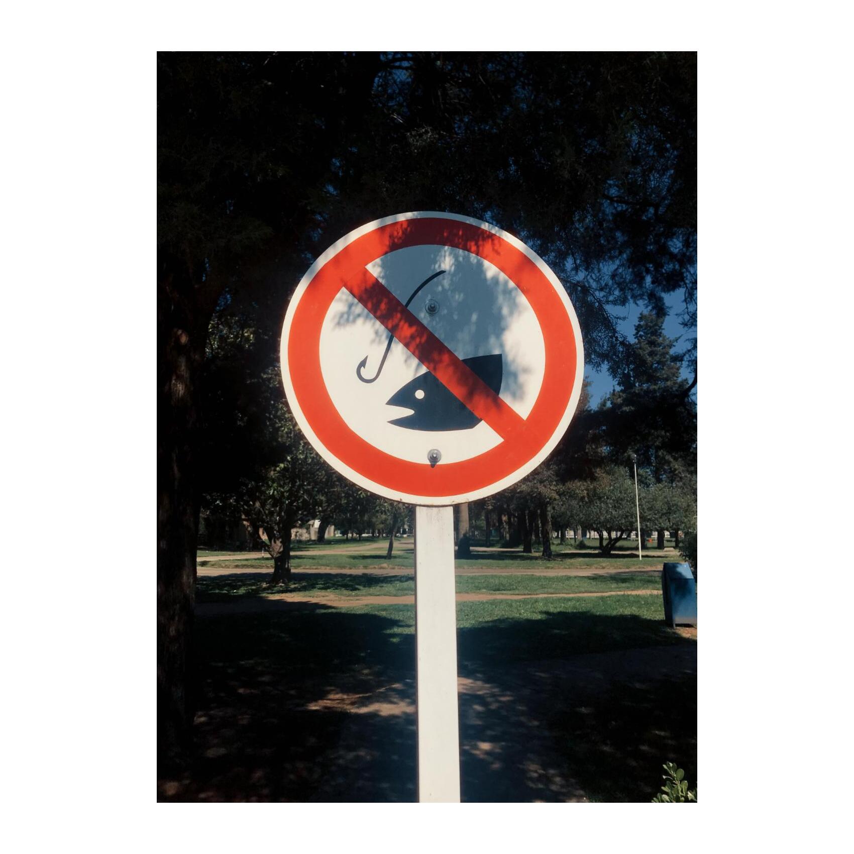a "no fishing" sign